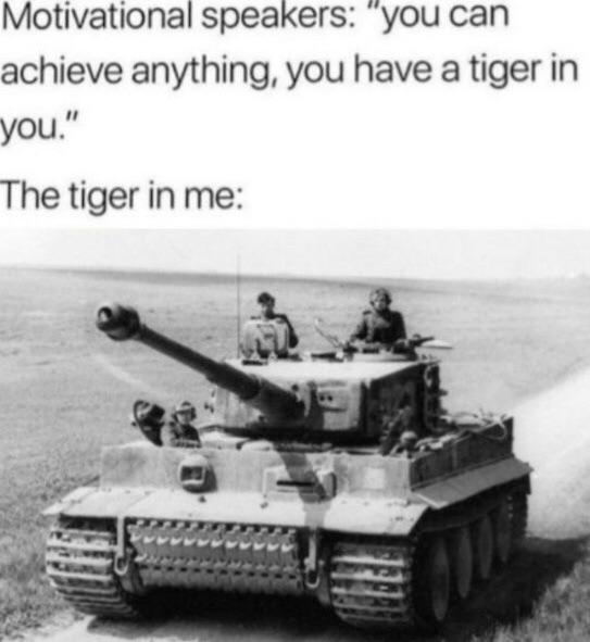 Motivational speakers: "you can achieve anything, you have a tiger in you." The tiger in me: