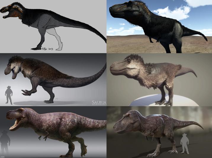 IAN A.M.L. 2013 SAURIA SAURIANGAME.C