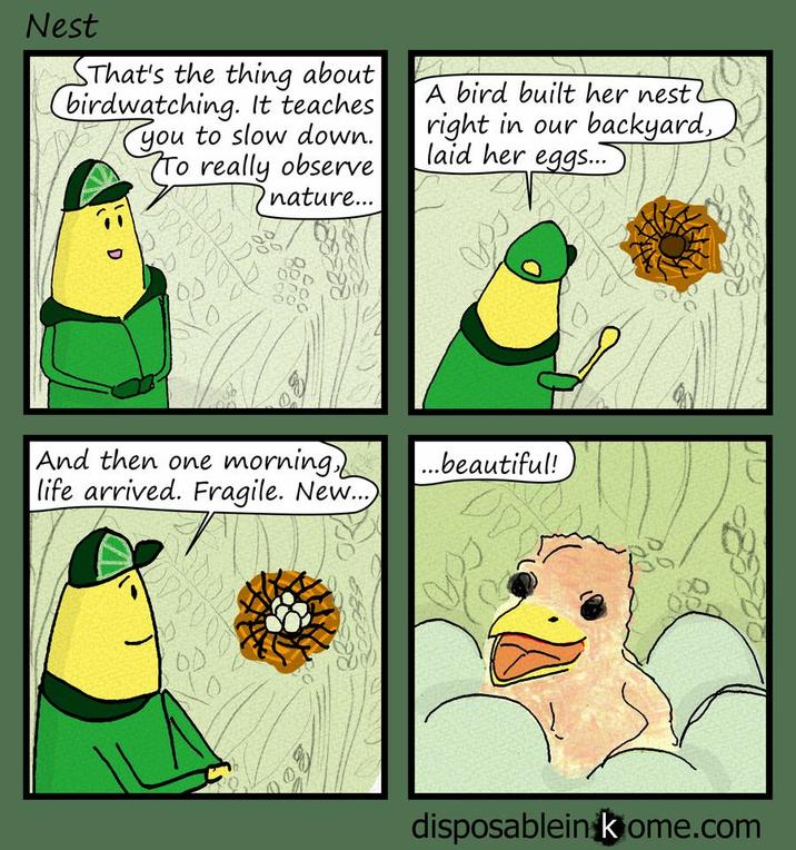 Nest SThat's the thing about birdwatching. It teaches you to slow down. To really observe nature... A bird built her neste right in our backyard, laid her eggs... D 0000000 000 500 And then one morning life arrived. Fragile. New...) 000000 00 ...beautiful! disposablein kome.com