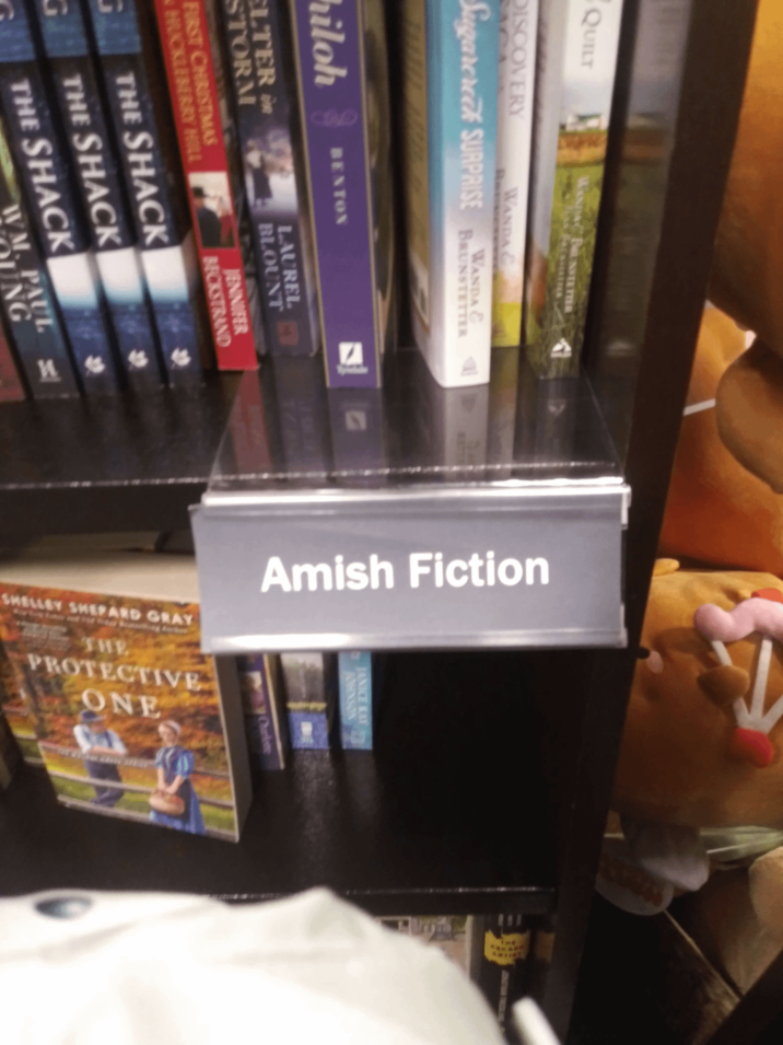 QUILT MANAC BRUNSTETTER DISCOVERY WANDA WANDA C Sugarcreek SURPRISE BRUNSTETTER hiloh BENTON ELTER STORM FIRST CHRISTMAS HUCKLEBERRY HILL THE SHACK LAUREL BLOUNT JENNIFER BECKSTRAND G THE SHACK THE SHACK WM. PAUL NG JANICE KAY AWNSON SHELLEY SHEPARD GRAY Amish Fiction PROTECTIVE ONE