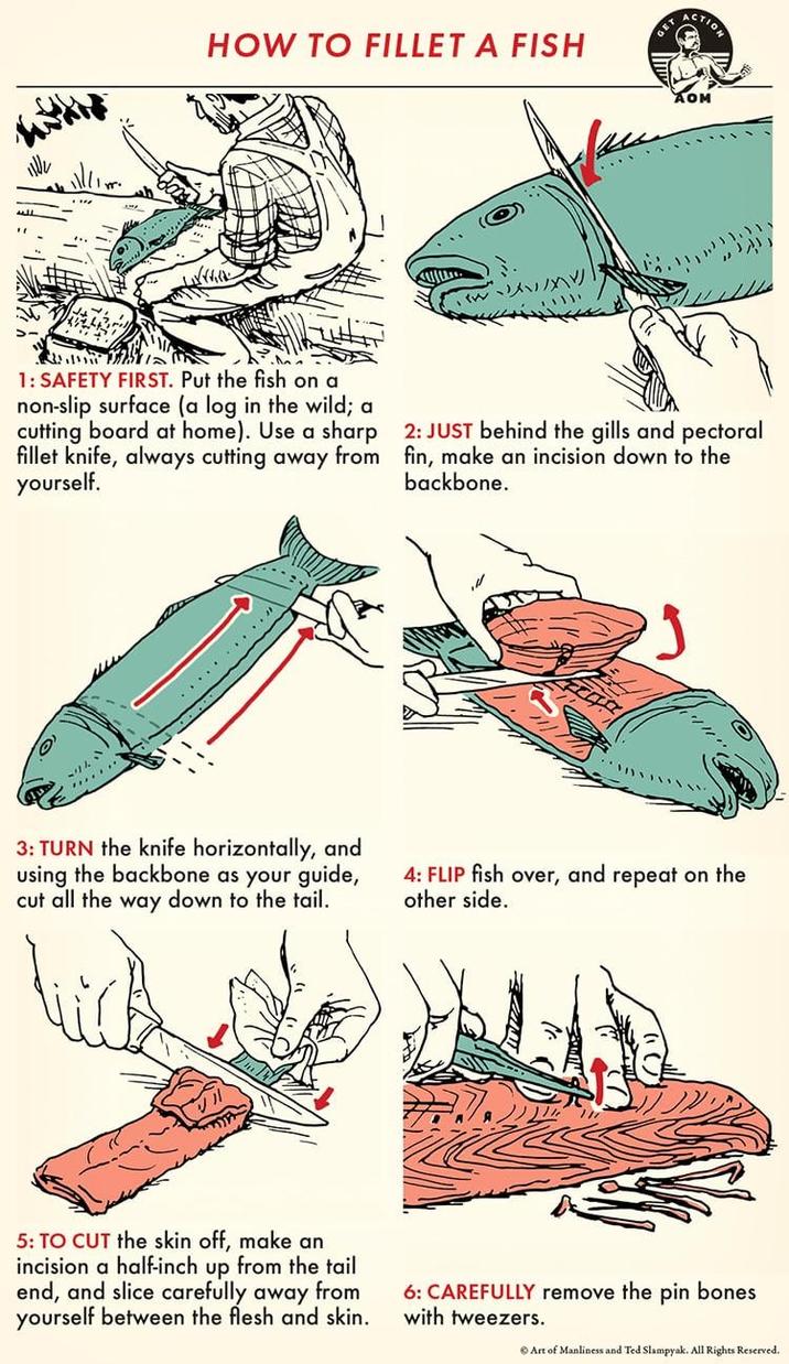 HOW TO FILLET A FISH GET ACTION AOM 1: SAFETY FIRST. Put the fish on a non-slip surface (a log in the wild; a cutting board at home). Use a sharp fillet knife, always cutting away from yourself. 2: JUST behind the gills and pectoral fin, make an incision down to the backbone. 3: TURN the knife horizontally, and using the backbone as your guide, cut all the way down to the tail. 4: FLIP fish over, and repeat on the other side. सेन 5: TO CUT the skin off, make an incision a half-inch up from the tail end, and slice carefully away from yourself between the flesh and skin. 6: CAREFULLY remove the pin bones with tweezers. Art of Manliness and Ted Slampyak. All Rights Reserved.