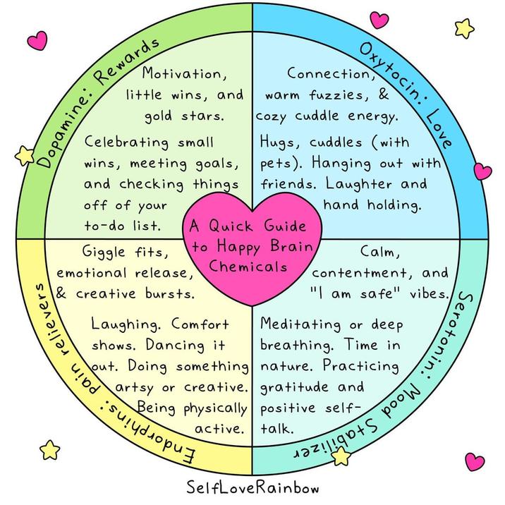 Motivation, Dopamine: Rewards little wins, and gold stars. Celebrating small wins, meeting goals, and checking things. off of your to-do list. Giggle fits, emotional release, & creative bursts. Connection, Oxytocin: Love warm fuzzies, & cozy cuddle energy. Hugs, cuddles (with pets). Hanging out with friends. Laughter and hand holding. A Quick Guide to Happy Brain/ Chemicals Laughing. Comfort shows. Dancing it out. Doing something dorphins: pain relievers artsy or creative. Calm, contentment, and "I am safe" vibes./ Serotonin: Mood Meditating or deep. breathing. Time in nature. Practicing gratitude and Being physically positive self- active. talk. SelfLoveRainbow