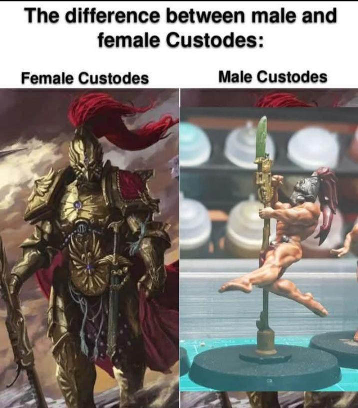 The difference between male and female Custodes: Female Custodes Male Custodes