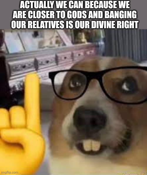 ACTUALLY WE CAN BECAUSE WE ARE CLOSER TO GODS AND BANGING OUR RELATIVES IS OUR DIVINE RIGHT imgflip.com