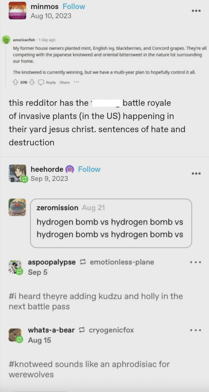 minmos Follow Aug 10, 2023 americanfish 1 day ago My former house owners planted mint, English ivy, blackberries, and Concord grapes. They're all competing with the Japanese knotweed and oriental bittersweet in the nature lot surrounding our home. The knotweed is currently winning, but we have a multi-year plan to hopefully control it all. 570 Reply Share *** this redditor has the battle royale of invasive plants (in the US) happening in their yard jesus christ. sentences of hate and destruction heehorde Follow Sep 9, 2023 zeromission Aug 21 hydrogen bomb vs hydrogen bomb vs hydrogen bomb vs hydrogen bomb vs. aspoopalypse emotionless-plane Sep 5 #i heard theyre adding kudzu and holly in the next battle pass whats-a-bear cryogenicfox Aug 15 #knotweed sounds like an aphrodisiac for werewolves