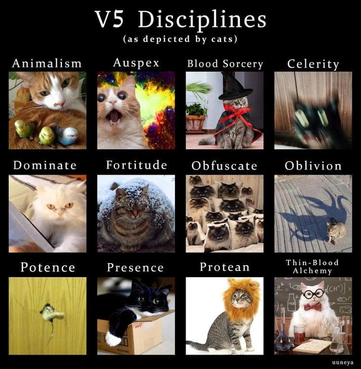 V5 Disciplines (as depicted by cats) Animalism Auspex Blood Sorcery Celerity Dominate Fortitude Obfuscate Oblivion Potence Presence Protean Thin-Blood Alchemy (CH)] me uuneya