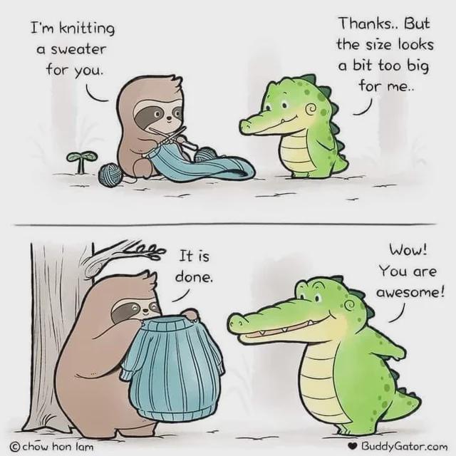 I'm knitting a sweater for you. Thanks.. But the size looks a bit too big for me.. ノ P chow hon lam Lage It is done. Wow! You are awesome! BuddyGator.com
