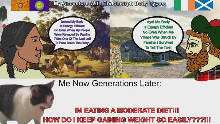 THE GREAT SEAL W NATION My Ancestors With Endomorph Body Types: Indeed My Body Is Energy Efficient So Even When My People Were Ravaged By Famine I Was One Of The Last Left To Pass Down The Story! Aye! Me Body Is Energy Efficient So Even When Me Village Was Struck By Famine | Survived To Tell The Tale! Me Now Generations Later: IM EATING A MODERATE DIET!!! HOW DO I KEEP GAINING WEIGHT SO EASILY???!!!