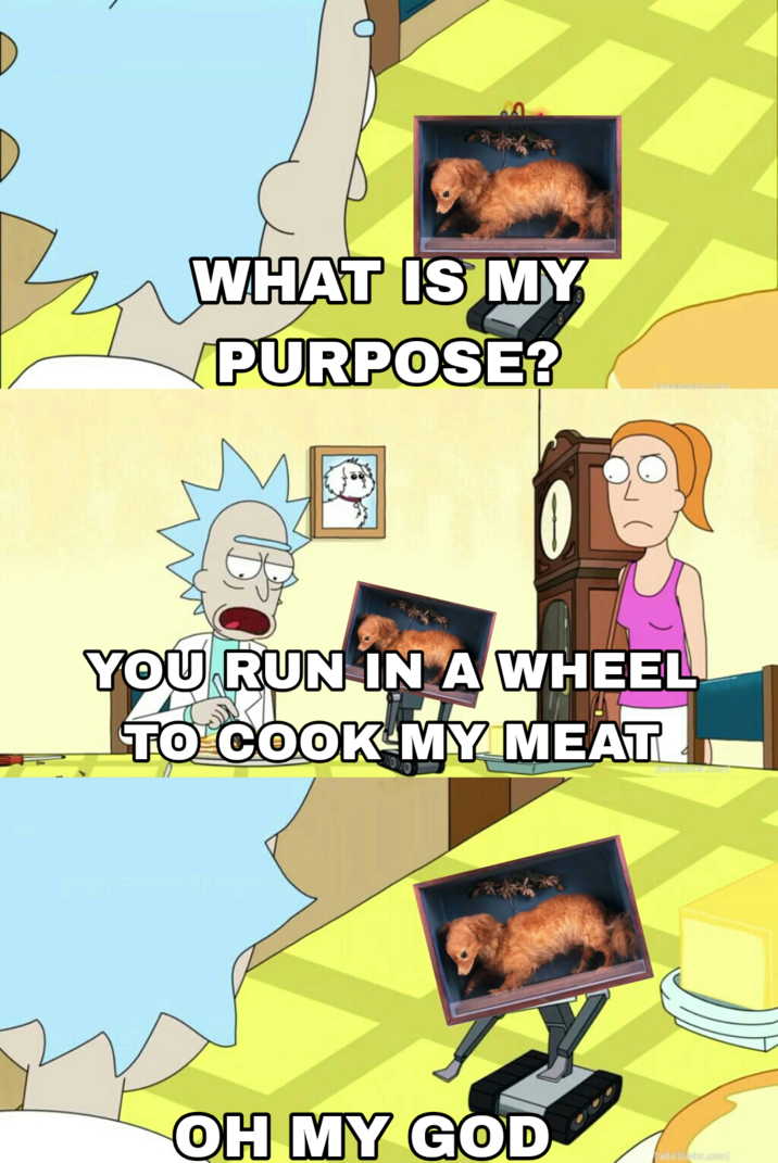 WHAT IS MY PURPOSE? YOU RUN IN A WHEEL TO COOK MY MEAT OH MY GOD adults.com]