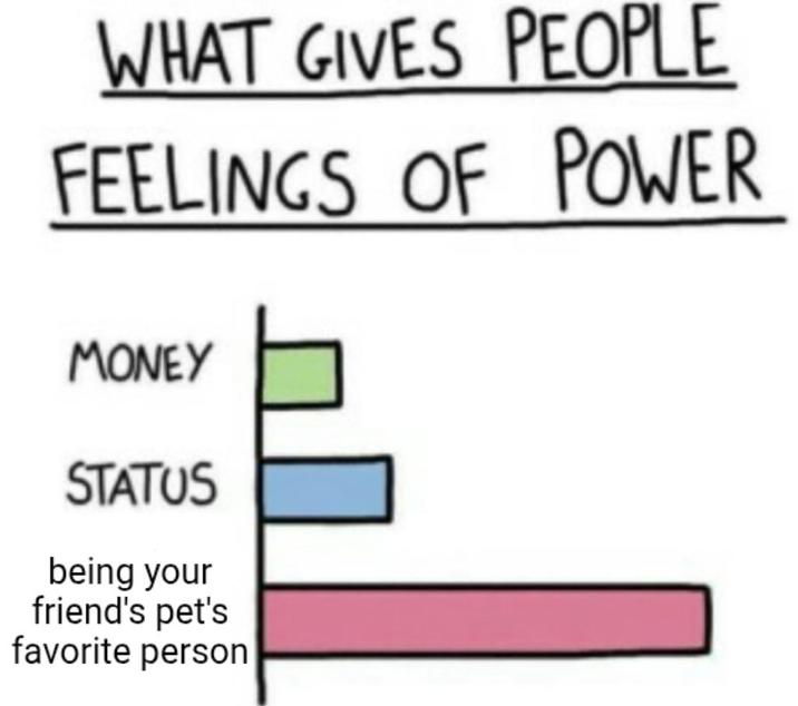 WHAT GIVES PEOPLE FEELINGS OF POWER MONEY STATUS being your friend's pet's favorite person