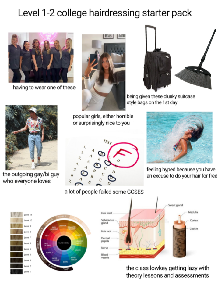 Level 1-2 college hairdressing starter pack having to wear one of these the outgoing gay/bi guy who everyone loves being given these clunky suitcase style bags on the 1st day popular girls, either horrible or surprisingly nice to you 2. B TEST a lot of people failed some GCSES feeling hyped because you have an excuse to do your hair for free Level 11 Level 10 Level 9 Level 8 Level 7 Level 6 Level 5 Level 4 Level 3 Level 2 Level 1 LEVEL 4 LEVEL 5 LEVEL 3 LEVEL LEVEL 7 PURPLE PURPLE ORANGE PEO ORANGE PURPLE 13637 ORANGE YELLOW Hair shaft Sebaceous gland Hair root Dermal papilla Nerve Blood- vessels Sweat gland Medulla Cortex Cuticle the class lowkey getting lazy with theory lessons and assessments