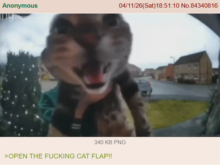 Anonymous 04/11/26(Sat) 18:51:10 No.84340816 340 KB PNG >OPEN THE F------ CAT FLAP!!