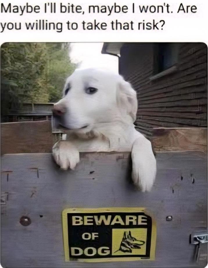 Maybe I'll bite, maybe I won't. Are you willing to take that risk? BEWARE OF DOG