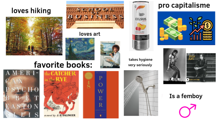 loves hiking BTUTS CELSIUS SPARKLING loves art ESSENTIAL ENERGY favorite books: AMERI- the CATCHER CAN in the RYE PSYCHO BRET P O W BR E EASTON ELLIS a novel by J. D. SALINGER ROBERT GREENE takes hygiene very seriously pro capitalisme BILLY JOEL NOCENT MAN Is a femboy