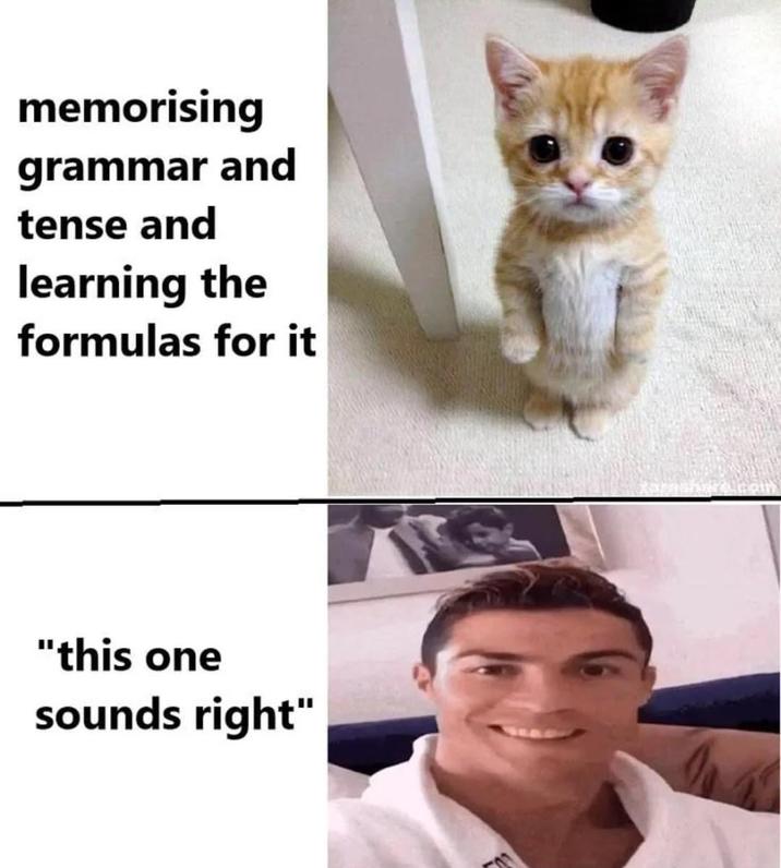 30 Memes That You Will Totally Understand | Know Your Meme