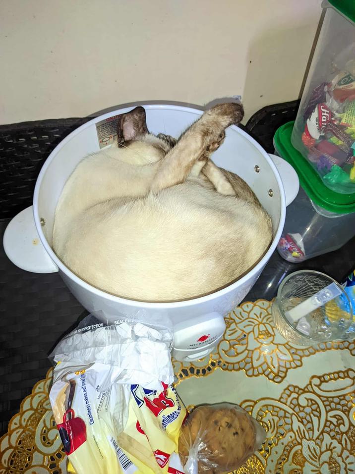 serving Suggestion Cleanliness makes our bread RBY Man FOOD RP. anliness Make A ang OUCT OF THE F Han