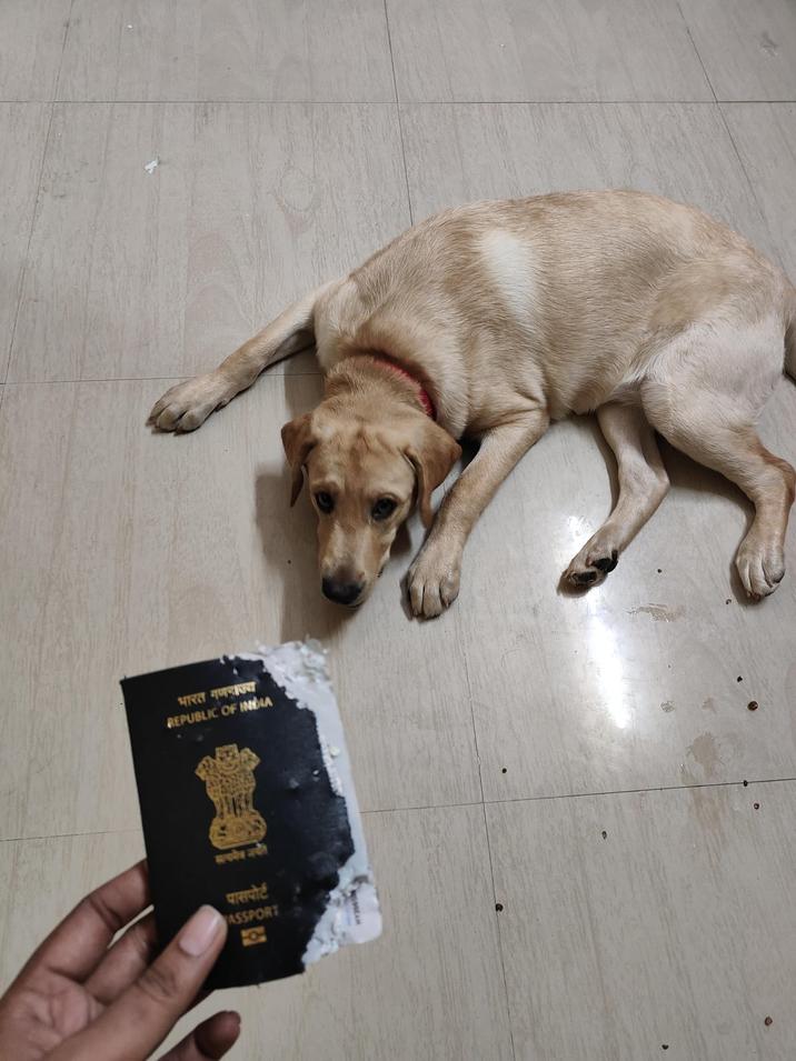 भारत गणराज्य REPUBLIC OF INDIA सत्यमेव जयते पासपोर्ट ASSPORT