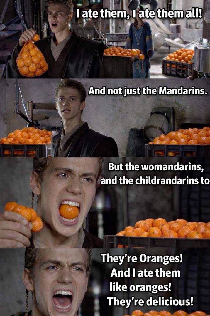 I ate them, I ate them all! And not just the Mandarins. But the womandarins, and the childrandarins to They're Oranges! And I ate them like oranges! They're delicious!