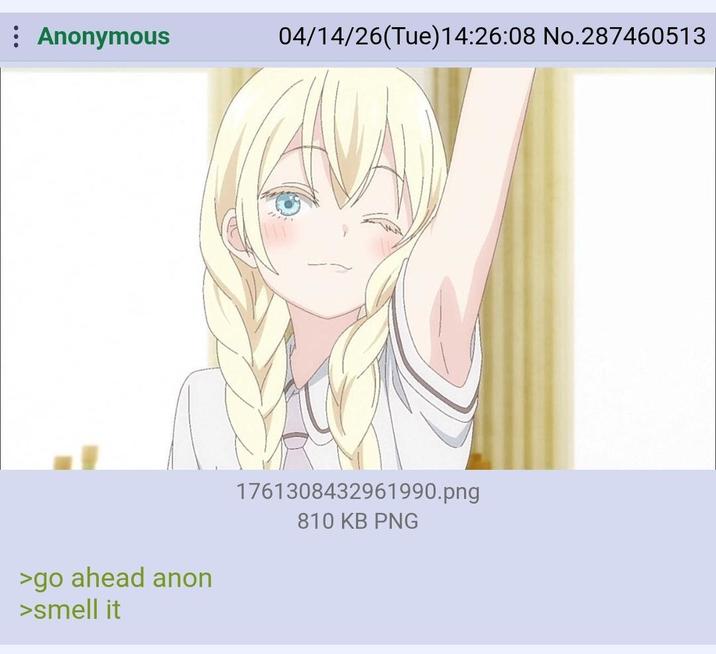 : Anonymous 04/14/26(Tue)14:26:08 No.287460513 >go ahead anon >smell it 1761308432961990.png 810 KB PNG