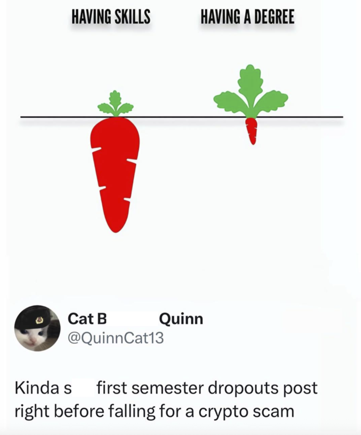 HAVING SKILLS HAVING A DEGREE Cat B @QuinnCat13 Quinn Kinda s first semester dropouts post right before falling for a crypto scam