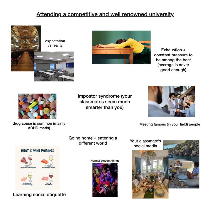 Attending a competitive and well renowned university. expectation vs reality drug abuse is common (mainly ADHD meds) MEAT & WINE PAIRINGS Steak & Cabernet Sauvignon Seafood & Sauvignon Blanc Chicken & Chardonnay Pork & Pinot Noir Learning social etiquette Impostor syndrome (your classmates seem much smarter than you) Exhaustion + constant pressure to be among the best (average is never good enough) Meeting famous (in your field) people Going home = entering a different world Your classmate's social media Normal student things