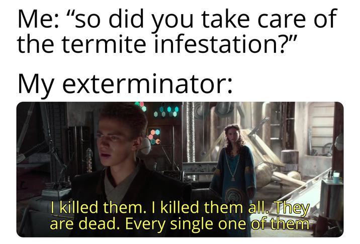 Me: "so did you take care of the termite infestation?" My exterminator: I killed them. I killed them all. They are dead. Every single one of them