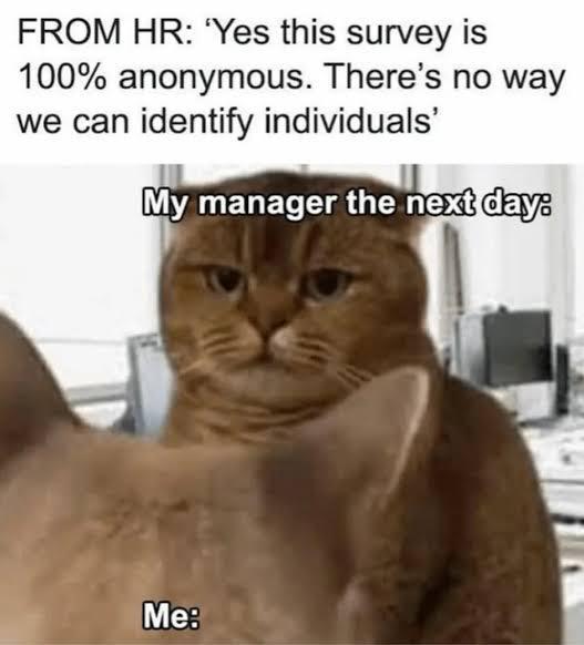 Would u like to risk it? | /r/memes | Know Your Meme