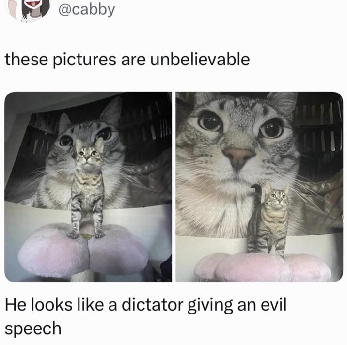 @cabby these pictures are unbelievable He looks like a dictator giving an evil speech