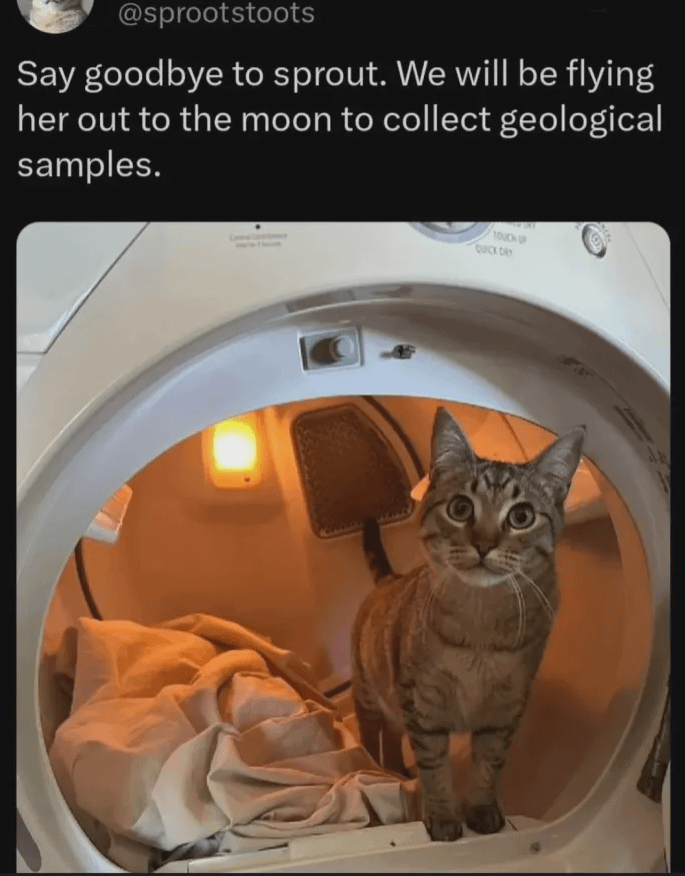 @sprootstoots Say goodbye to sprout. We will be flying her out to the moon to collect geological samples. TOUCH UP QUICK DAY