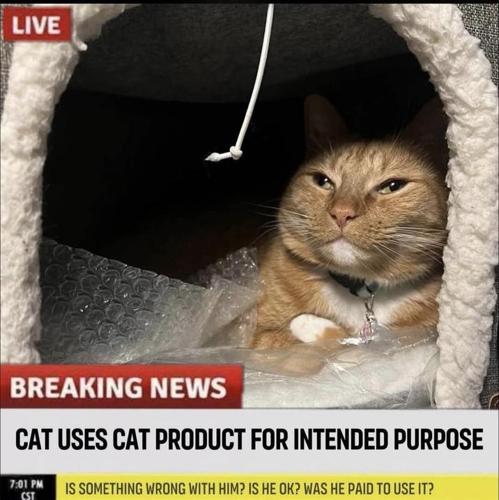 LIVE BREAKING NEWS CAT USES CAT PRODUCT FOR INTENDED PURPOSE 7:01 PM IS SOMETHING WRONG WITH HIM? IS HE OK? WAS HE PAID TO USE IT? CST