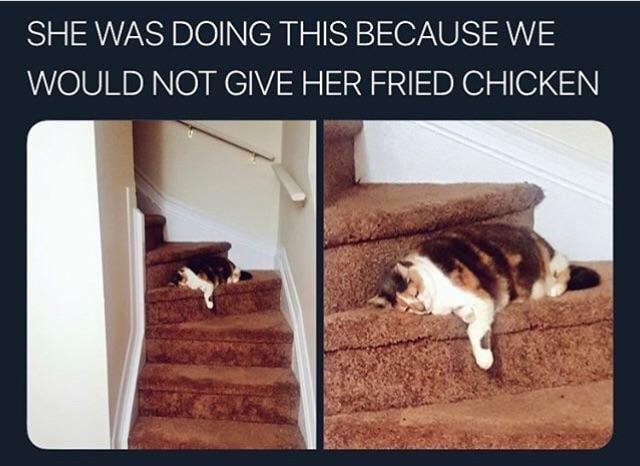 SHE WAS DOING THIS BECAUSE WE WOULD NOT GIVE HER FRIED CHICKEN