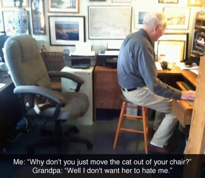 Me: "Why don't you just move the cat out of your chair?" Grandpa: "Well I don't want her to hate me."