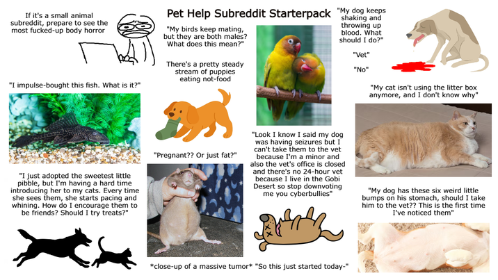 If it's a small animal subreddit, prepare to see the most f------up body horror "I impulse-bought this fish. What is it?" Pet Help Subreddit Starterpack "My dog keeps "My birds keep mating, but they are both males? What does this mean?" There's a pretty steady stream of puppies eating not-food shaking and throwing up blood. What should I do?" "Vet" "No" "My cat isn't using the litter box anymore, and I don't know why" "I just adopted the sweetest little pibble, but I'm having a hard time introducing her to my cats. Every time she sees them, she starts pacing and whining. How do I encourage them to be friends? Should I try treats?" "Pregnant?? Or just fat?" "Look I know I said my dog was having seizures but I can't take them to the vet because I'm a minor and also the vet's office is closed and there's no 24-hour vet because I live in the Gobi Desert so stop downvoting me you cyberbullies" "My dog has these six weird little bumps on his stomach, should I take him to the vet?? This is the first time I've noticed them" *close-up of a massive tumor* "So this just started today-"