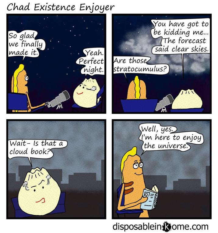 Chad Existence Enjoyer So glad we finally You have got to be kidding me... The forecast Said clear skies. made it. Yeah. Perfect Are those night. stratocumulus? Wait- Is that a cloud book? Well, yes. I'm here to enjoy the universe. disposablein kome.com