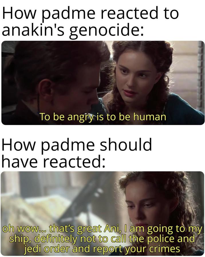 How padme reacted to anakin's genocide: To be angry is to be human How padme should have reacted: oh wow... that's great Ani, I am going to my ship, definitely not to call the police and jedi order and report your crimes