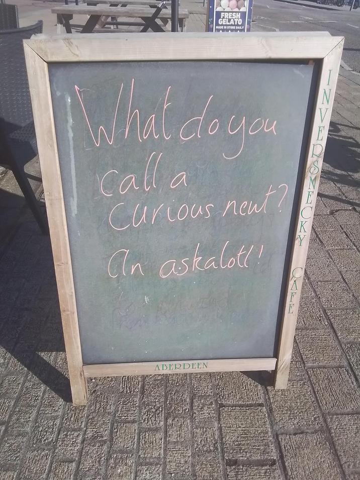 FRESH GELATO MADE IN STORE DAILY What do you Calla Curious neut? an askalot!! C K Y ABERDEEN