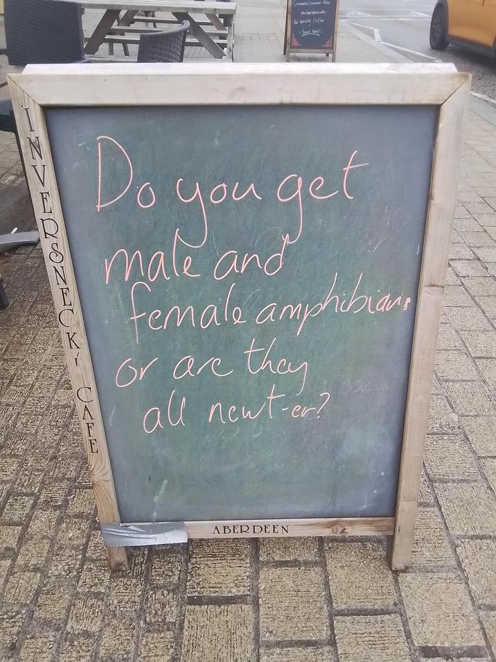 Craigants/Common Rails Har s And Sperably Coffee Sened Heel Do you get male and female amphibian or are they all newt-er? ABERDEEN