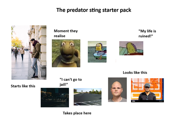 Starts like this The predator sting starter pack Moment they realise "My life is ruined!" "I can't go to jail!" Looks like this Takes place here alany