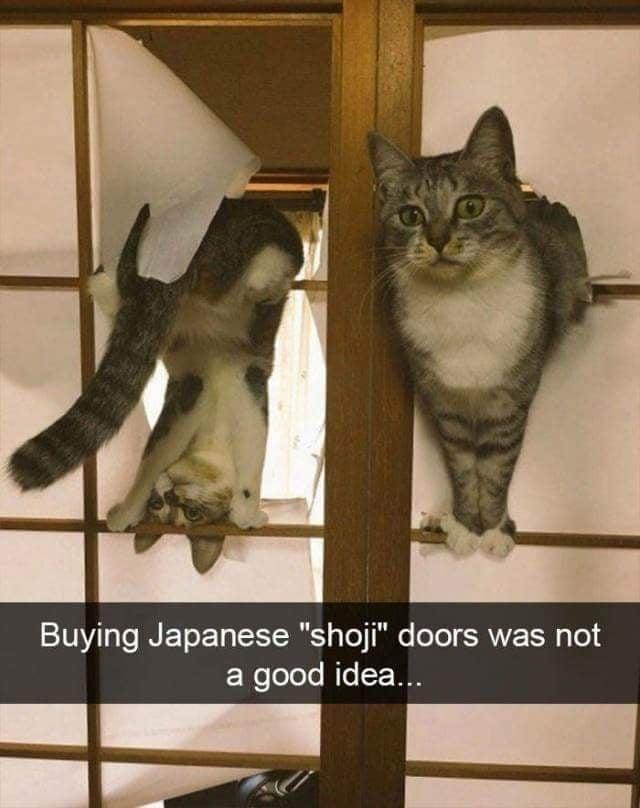 Buying Japanese "shoji" doors was not a good idea...