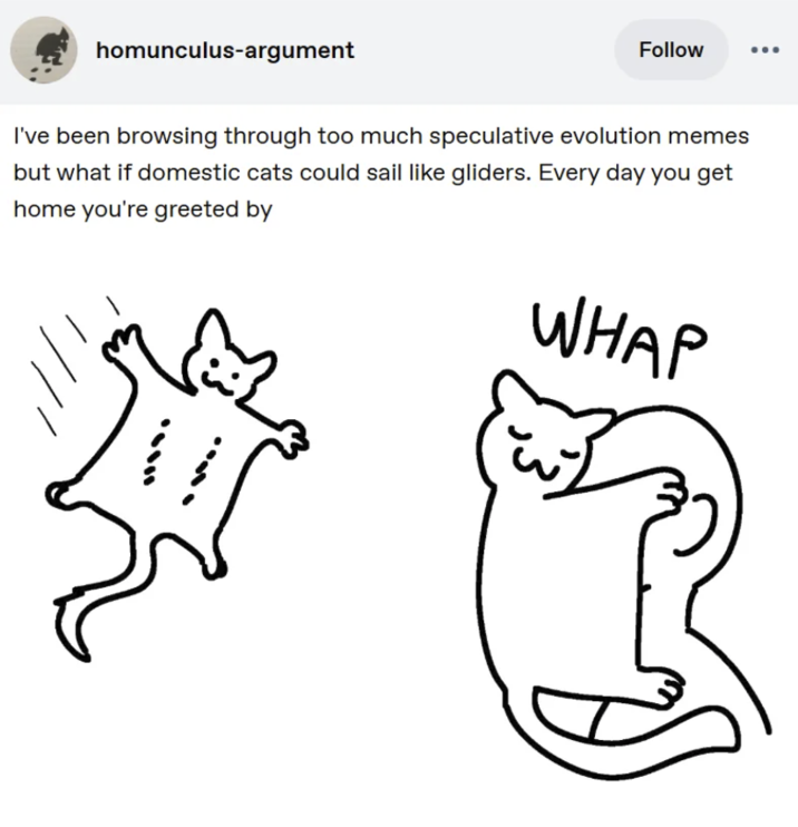 homunculus-argument Follow I've been browsing through too much speculative evolution memes but what if domestic cats could sail like gliders. Every day you get home you're greeted by WHAP