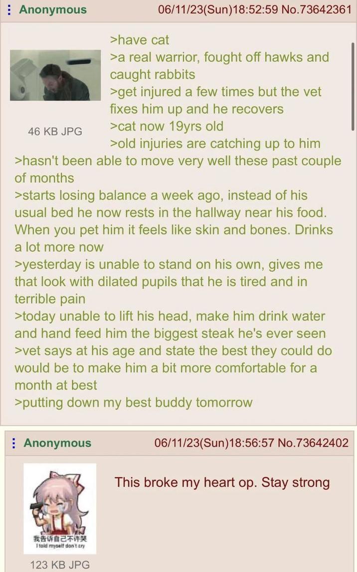 Anonymous 46 KB JPG 06/11/23(Sun)18:52:59 No.73642361 >have cat >a real warrior, fought off hawks and caught rabbits >get injured a few times but the vet fixes him up and he recovers >cat now 19yrs old >old injuries are catching up to him >hasn't been able to move very well these past couple of months >starts losing balance a week ago, instead of his usual bed he now rests in the hallway near his food. When you pet him it feels like skin and bones. Drinks a lot more now >yesterday is unable to stand on his own, gives me that look with dilated pupils that he is tired and in terrible pain >today unable to lift his head, make him drink water and hand feed him the biggest steak he's ever seen >vet says at his age and state the best they could do would be to make him a bit more comfortable for a month at best >putting down my best buddy tomorrow Anonymous 06/11/23(Sun)18:56:57 No.73642402 This broke my heart op. Stay strong 我告诉自己不许哭 I told myself don't cry 123 KB JPG