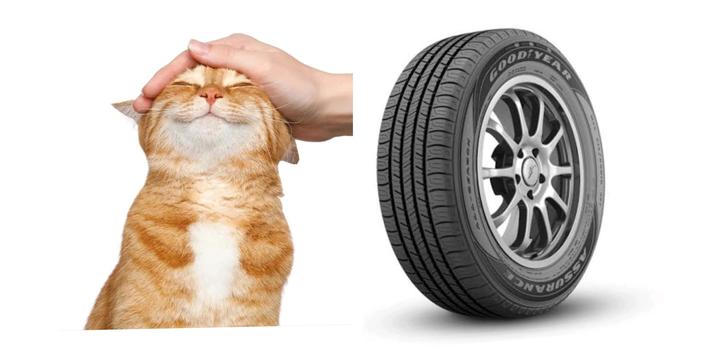 YEAR GOOD LER URANCE