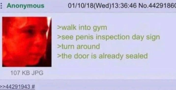 Anonymous 107 KB JPG 01/10/18(Wed)13:36:46 No.44291860 >walk into gym >see penis inspection day sign >turn around >the door is already sealed >>44291943 #