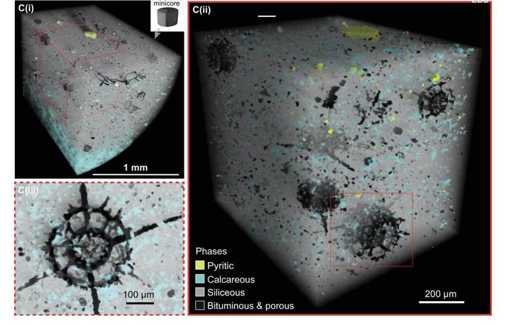 C(i) C(iii) 1 mm minicore C(ii) 100 μm Phases Pyritic Calcareous Siliceous Bituminous & porous 200 μm