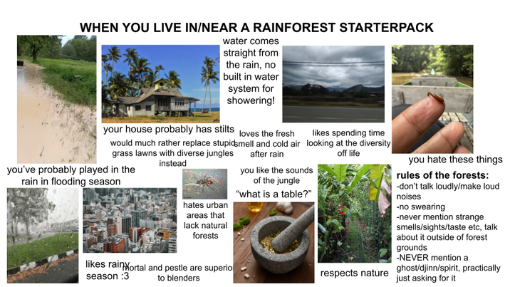 WHEN YOU LIVE IN/NEAR A RAINFOREST STARTERPACK water comes straight from the rain, no built in water system for showering! your house probably has stilts loves the fresh would much rather replace stupidsmell and cold air grass lawns with diverse jungles you've probably played in the rain in flooding season instead hates urban areas that lack natural forests likes rain Mortal and pestle are superio season :3 to blenders after rain likes spending time looking at the diversity off life you like the sounds of the jungle "what is a table?" you hate these things rules of the forests: -don't talk loudly/make loud noises -no swearing -never mention strange smells/sights/taste etc, talk about it outside of forest grounds -NEVER mention a respects nature ghost/djinn/spirit, practically just asking for it