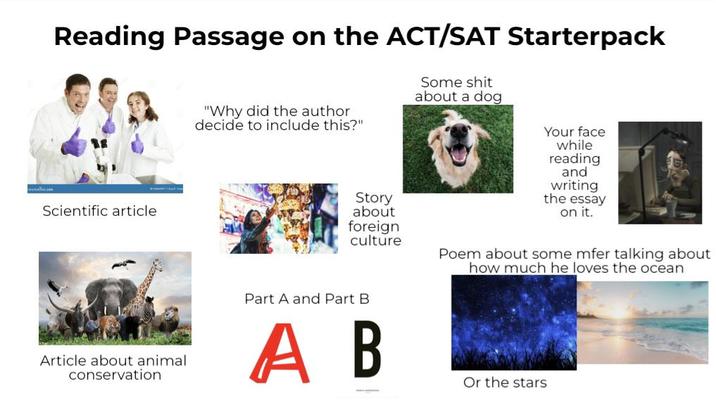 Reading Passage on the ACT/SAT Starterpack Scientific article Some s--- about a dog "Why did the author decide to include this?" Story about foreign culture Article about animal conservation Part A and Part B A B Your face while reading and writing the essay on it. Poem about some mfer talking about how much he loves the ocean Or the stars