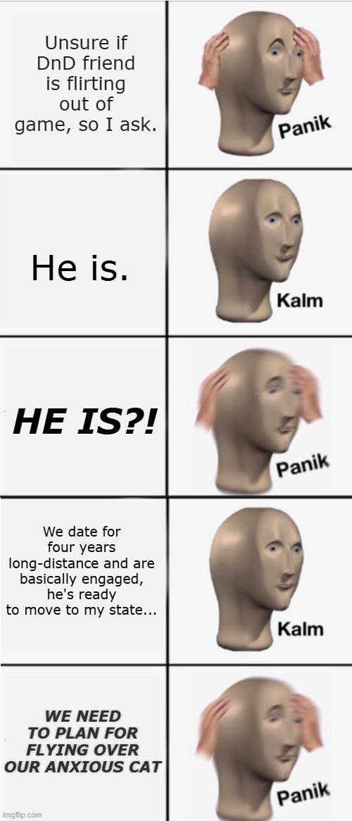 Unsure if DnD friend is flirting out of game, so I ask. He is. Panik Kalm HE IS?! Panik We date for four years long-distance and are basically engaged, he's ready to move to my state... WE NEED TO PLAN FOR FLYING OVER OUR ANXIOUS CAT imgflip.com Kalm Panik