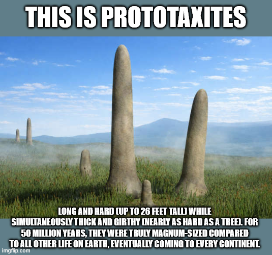 THIS IS PROTOTAXITES LONG AND HARD (UP TO 26 FEET TALL) WHILE SIMULTANEOUSLY THICK AND GIRTHY [NEARLY AS HARD AS A TREE). FOR 50 MILLION YEARS, THEY WERE TRULY MAGNUM-SIZED COMPARED TO ALL OTHER LIFE ON EARTH, EVENTUALLY COMING TO EVERY CONTINENT. imgflip.com