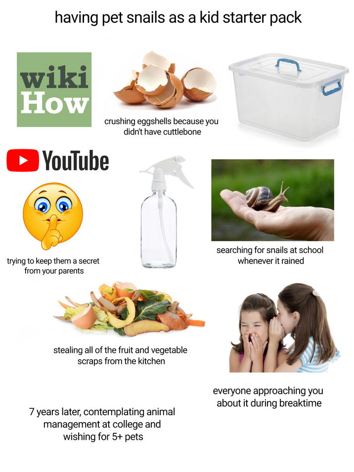 having pet snails as a kid starter pack wiki How YouTube crushing eggshells because you didn't have cuttlebone trying to keep them a secret from your parents searching for snails at school whenever it rained stealing all of the fruit and vegetable scraps from the kitchen 7 years later, contemplating animal management at college and wishing for 5+ pets everyone approaching you about it during breaktime