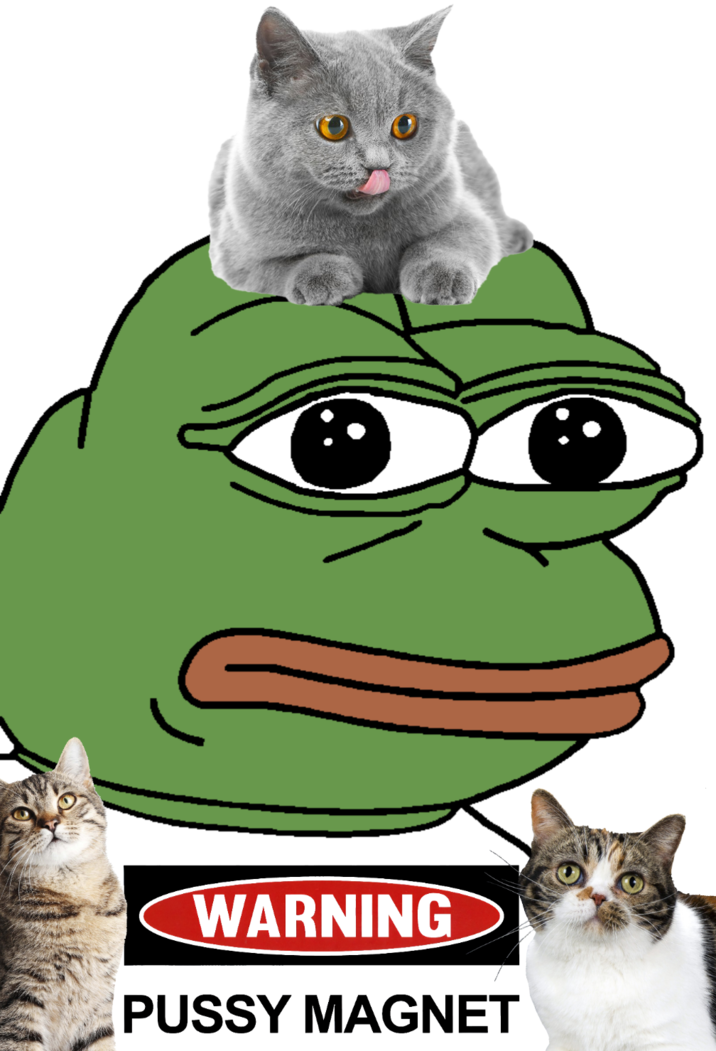 WARNING P---- MAGNET